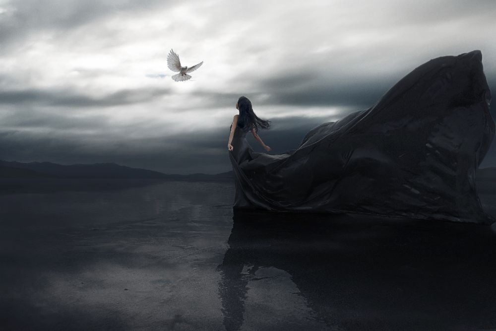 Fliege zu dir von Terry F