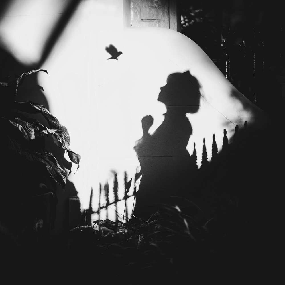 Shadows on the Wall von Terry F