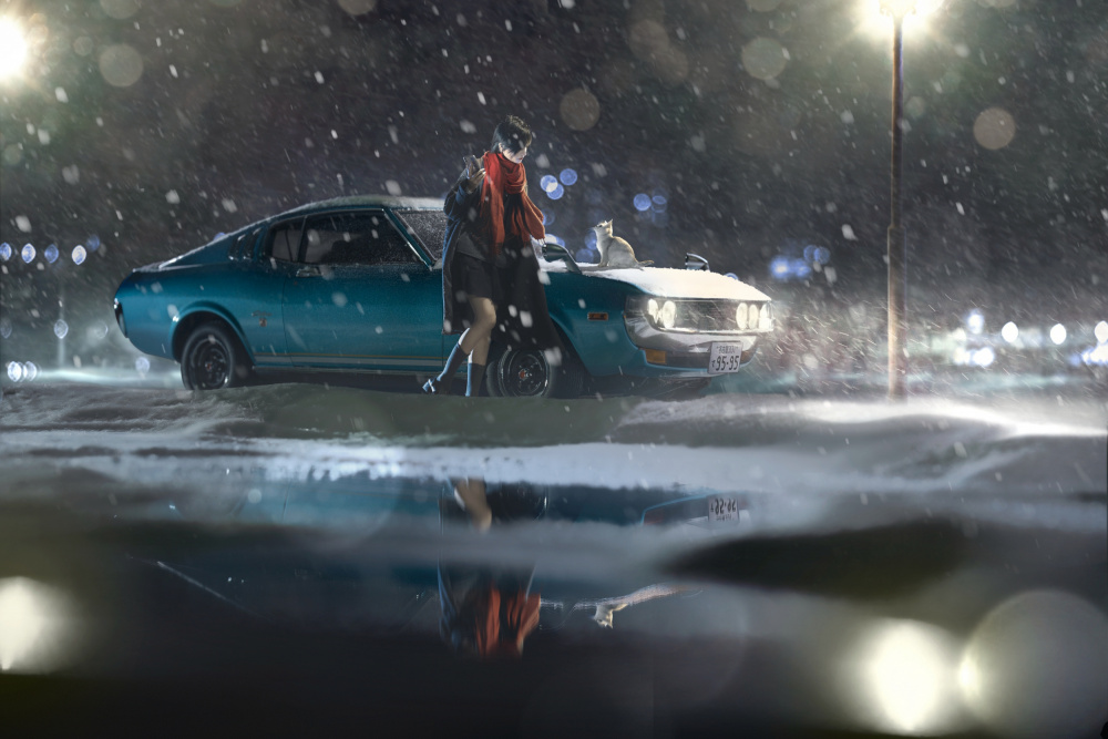 Christmas Miracle von Terry F