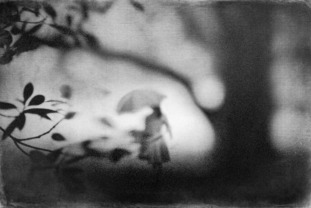 regnerischer Tag von Teruhiko Tsuchida