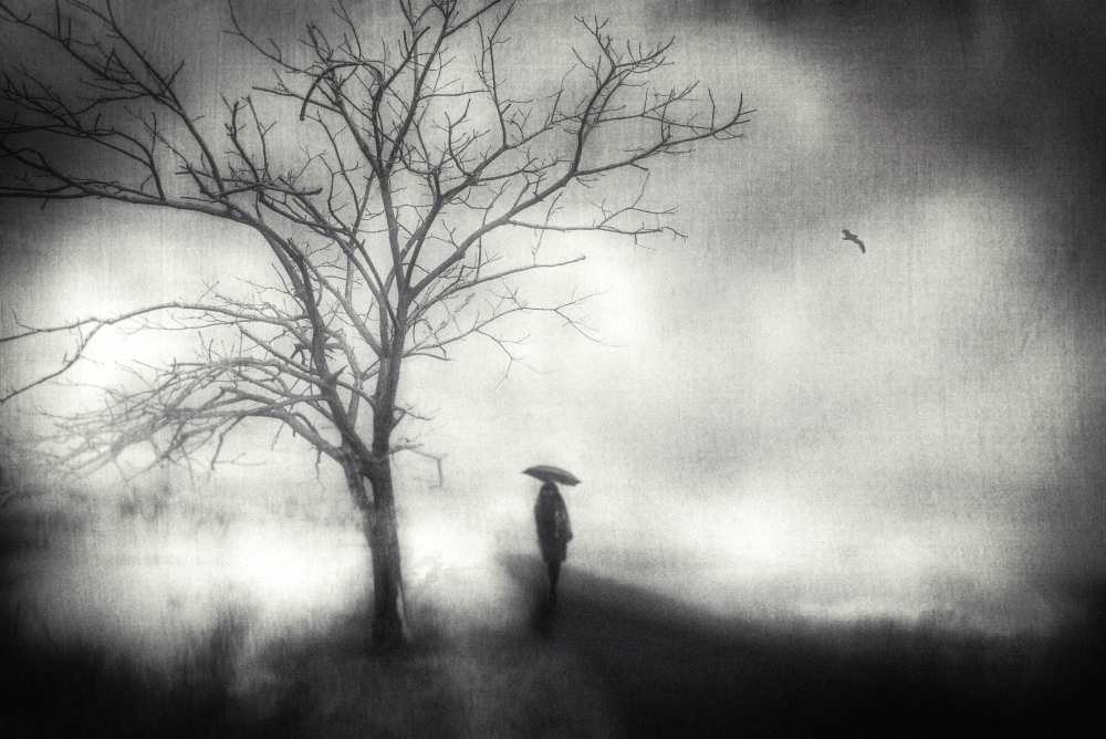 Untitled von Teruhiko Tsuchida