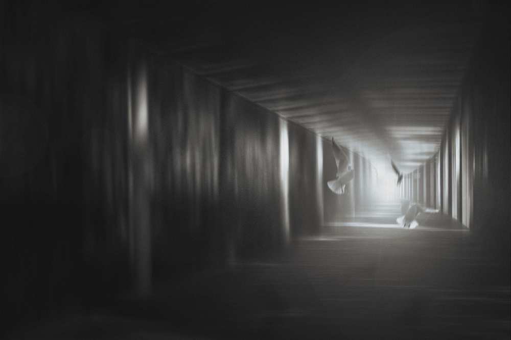 Untitled von Teruhiko Tsuchida