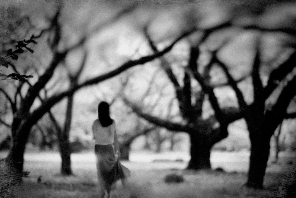 Why don’t you come in？ von Teruhiko Tsuchida