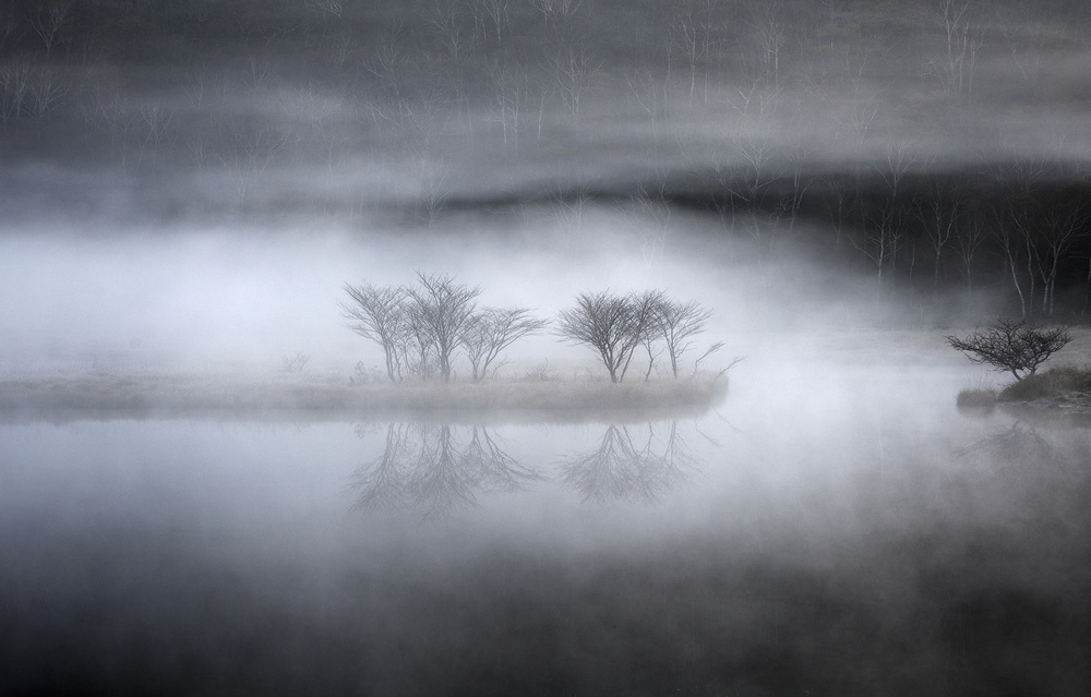 Mysterious pond von Teruo Araya