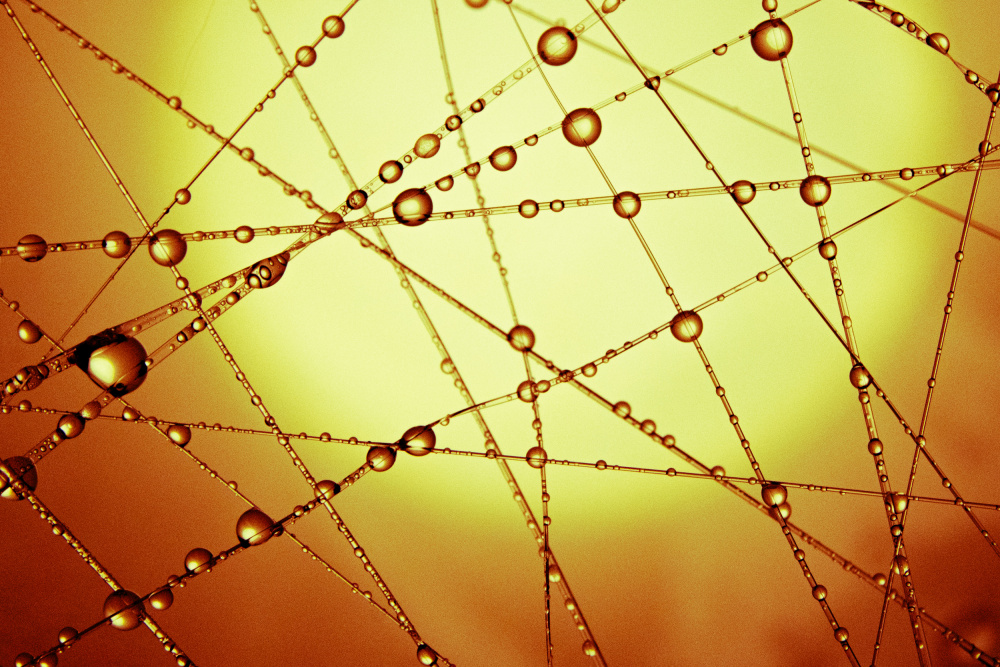 Macrocosm von Tetsuji Fujino