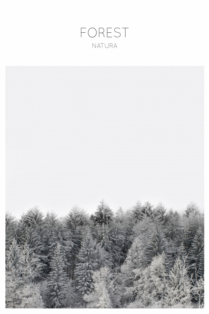 Forest Photography von THE MIUUS STUDIO