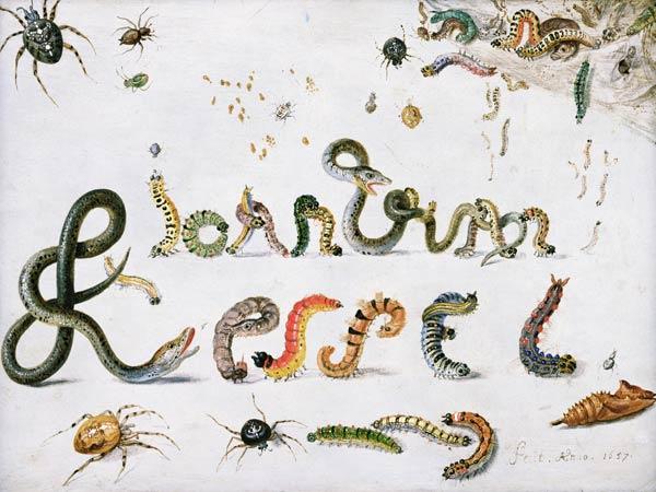 Garden and other spiders, caterpillars spell the artist''s name, 1657 (oil on copper)