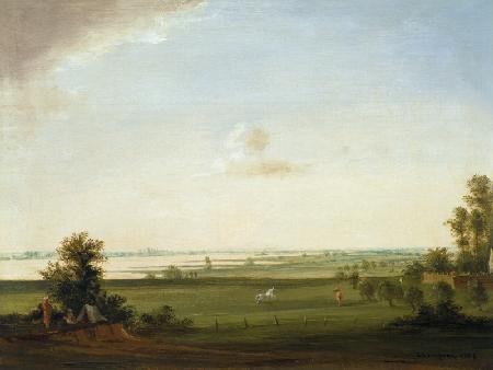 Blick auf die Rheinwiesen