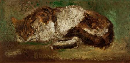 Chiffon endormi (Die schlafende Katze Chiffon)