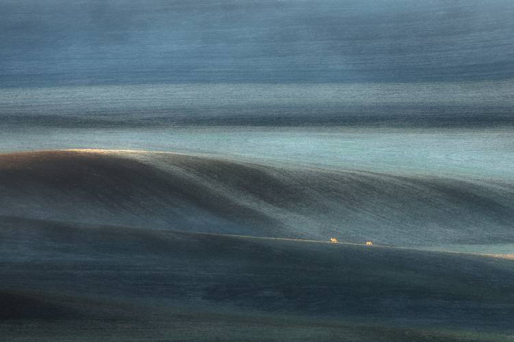 We Have Each Other von Thien Nguyen