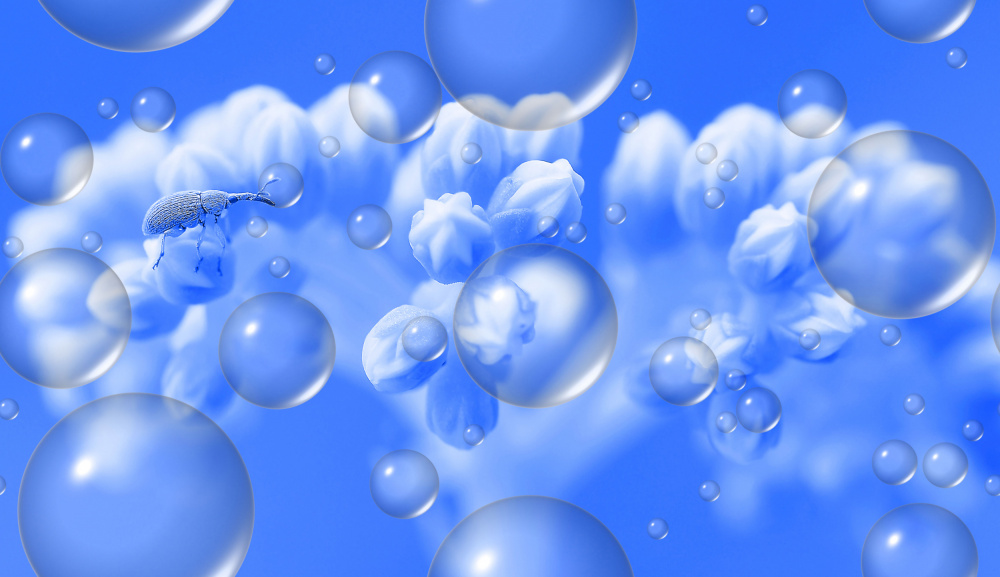 Alone on his island... von Thierry Dufour