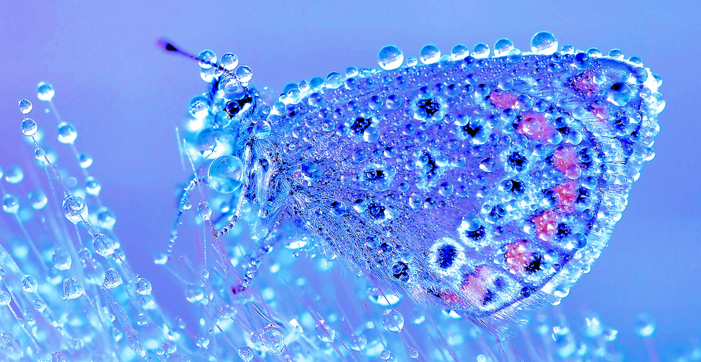 Waiting for the sun... von Thierry Dufour