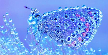 Waiting for the sun...