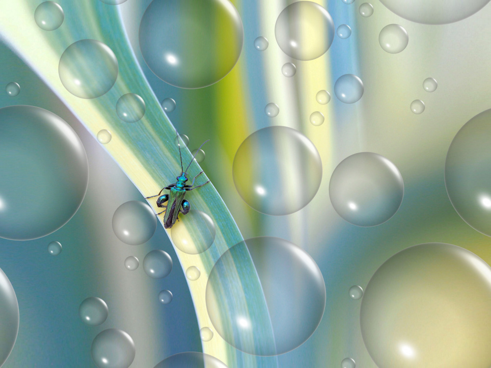 Blue lines... von Thierry Dufour