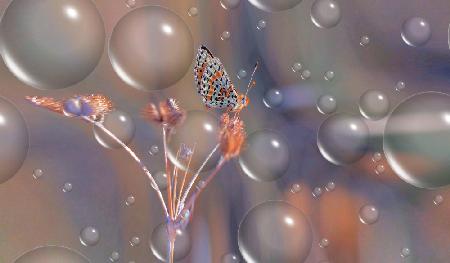 Getting up close to the stars...