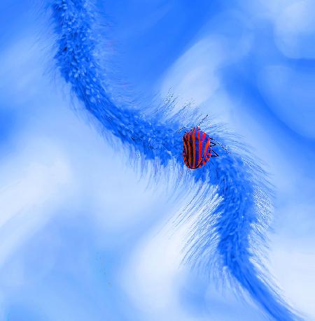 The Ariadnes thread...