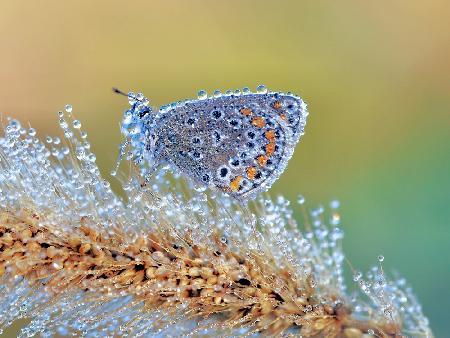 Natures beauty without special effects