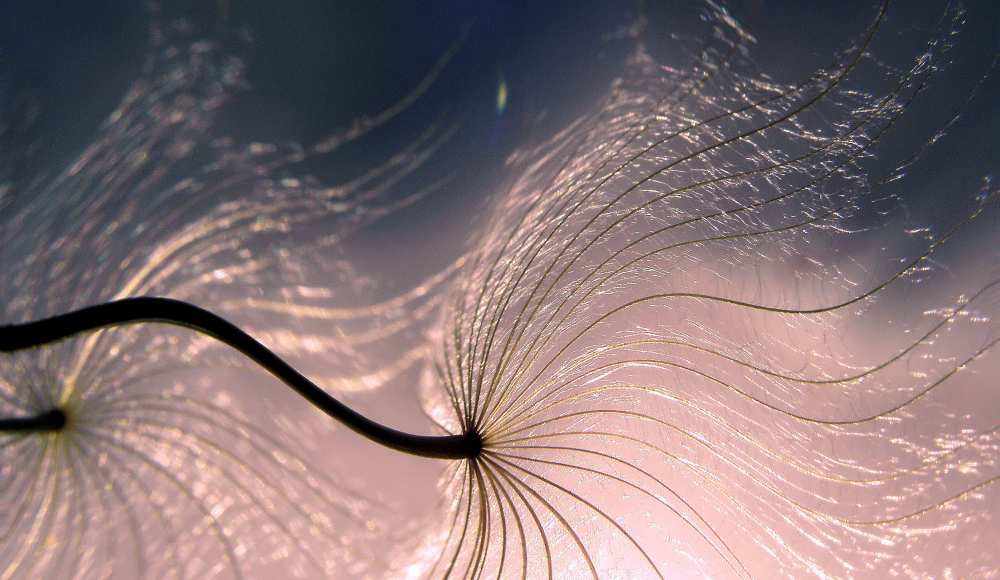 Ephemeral waves... von Thierry Dufour