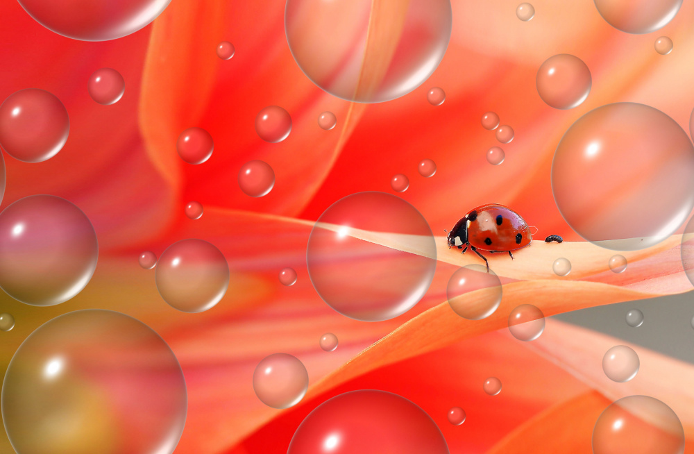 Oops... von Thierry Dufour