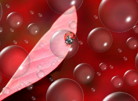 In the heart of the volcano...