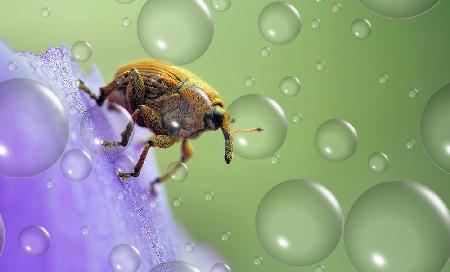 Concentration before the big descent...