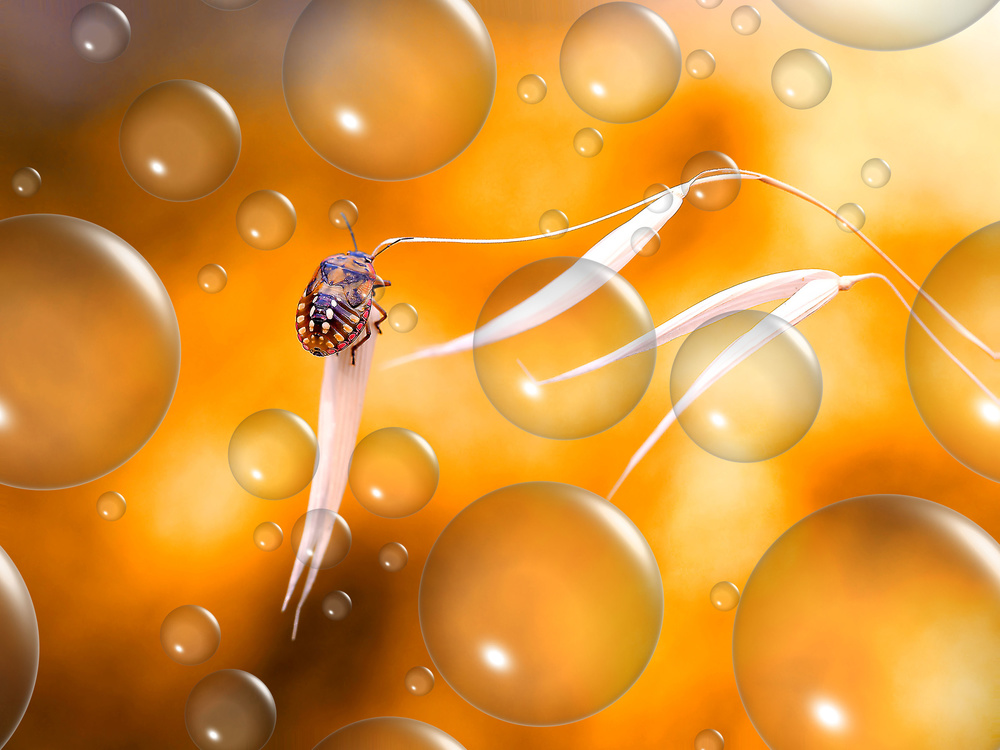 Air controller... von Thierry Dufour