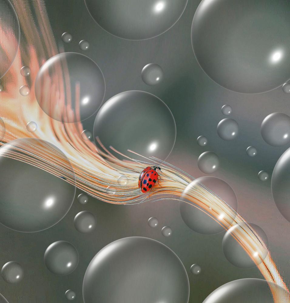 At the speed of light... von Thierry Dufour