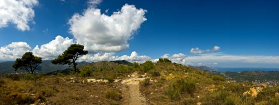 Spekrum einer Landschaft von Thomas Brenner