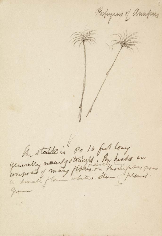 Untitled von Thomas Cole