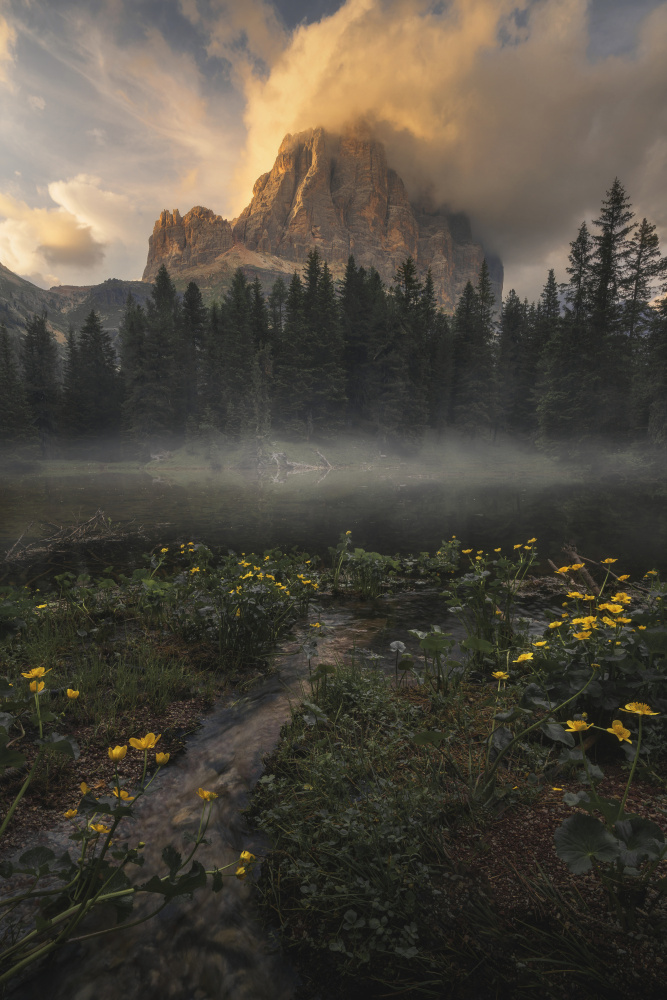 Towards Oblivion von Thomas de Franzoni