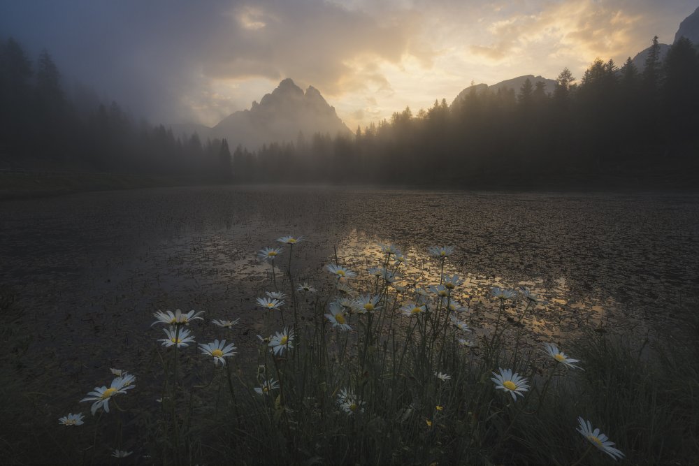 The Last Dance von Thomas de Franzoni