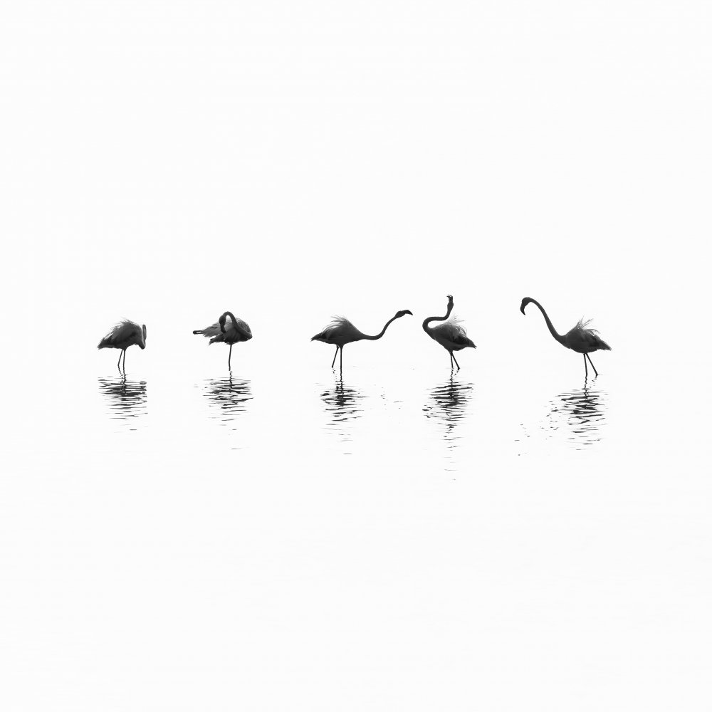 Family Portrait von Thomas de Franzoni