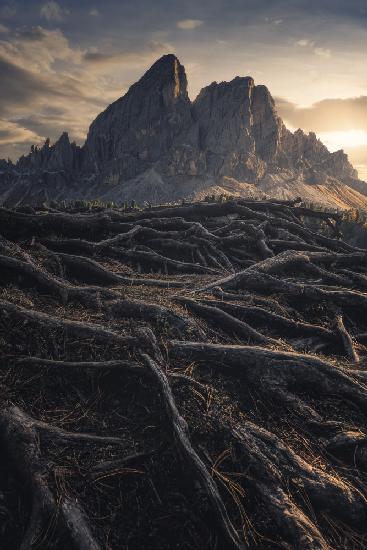 In the Hall of the Mountain King