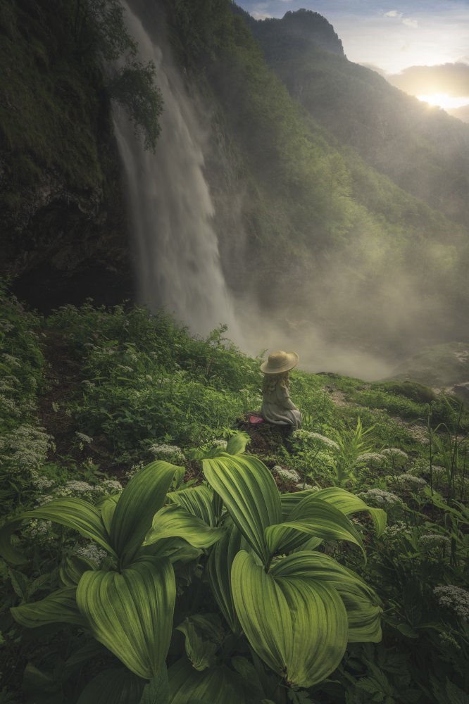 Fall from Grace von Thomas de Franzoni