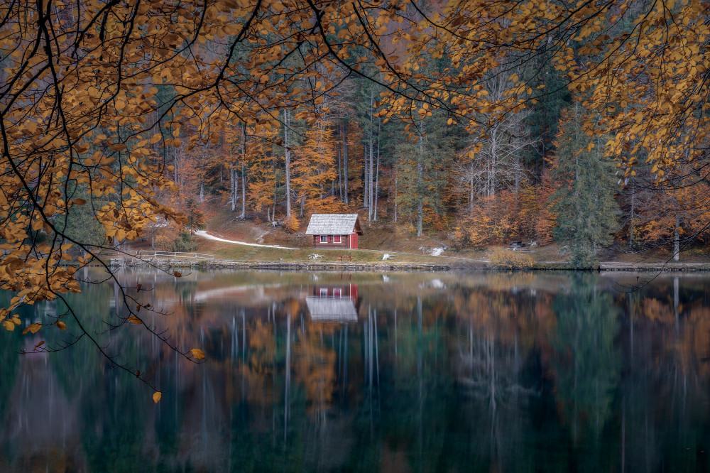 Shades of the World von Thomas de Franzoni