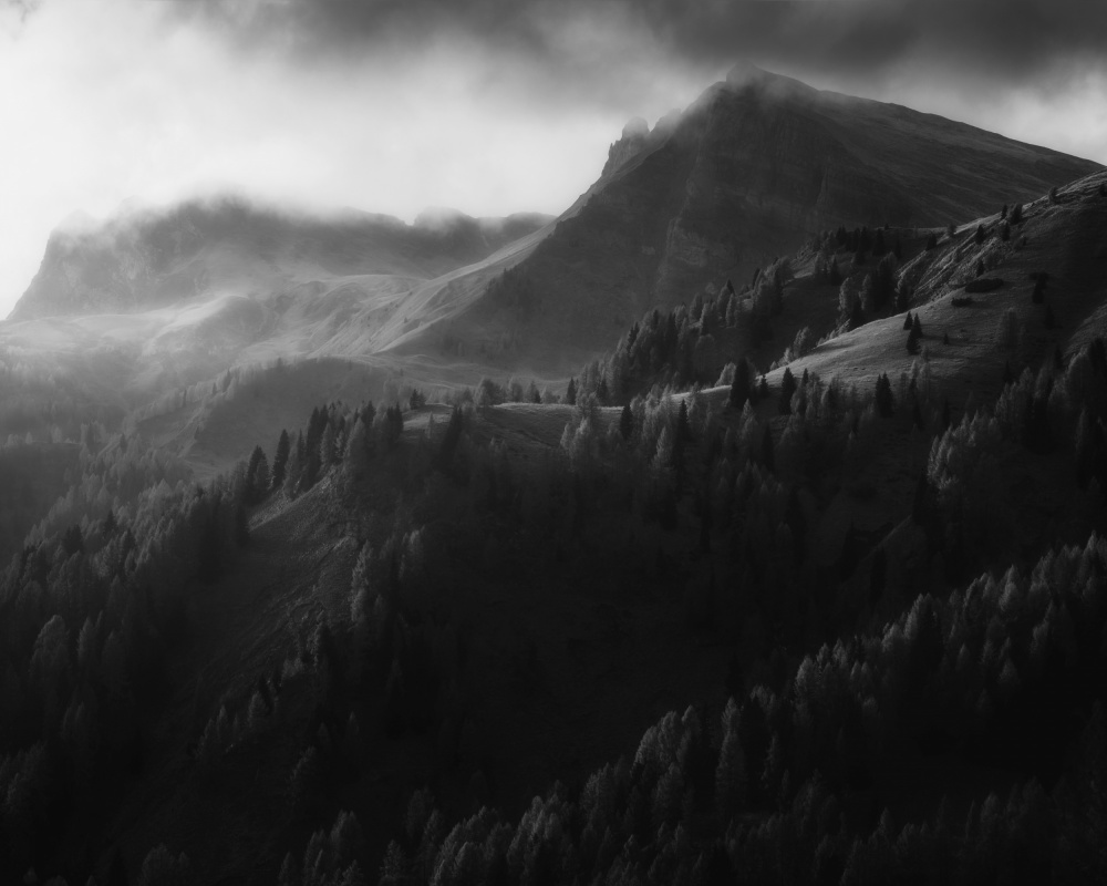 Altered State von Thomas de Franzoni