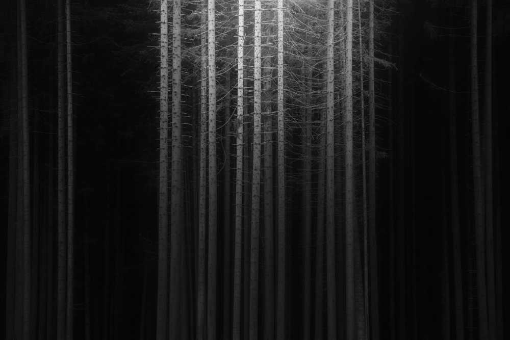 Visionary Dreams von Thomas de Franzoni