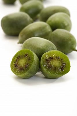 Mini Kiwi4 von Thomas Haupt