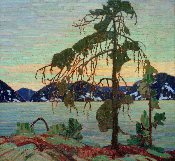 The Jack Pine von Thomas John Thomson