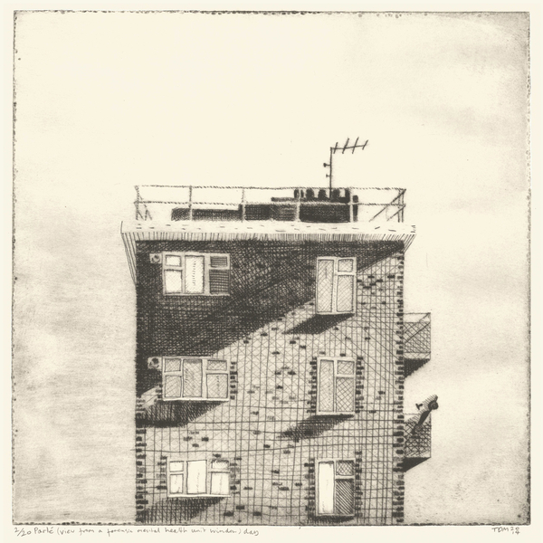 Parle (view from a forensic mental health unit window (daytime)) von Thomas MacGregor