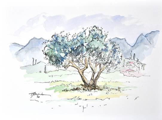 Baum in Soiano d.L. von Thomas Steinmetz