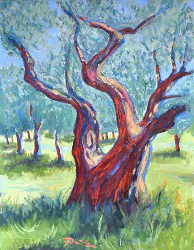 Olivenbäume bei St Rémy von Thomas Steinmetz