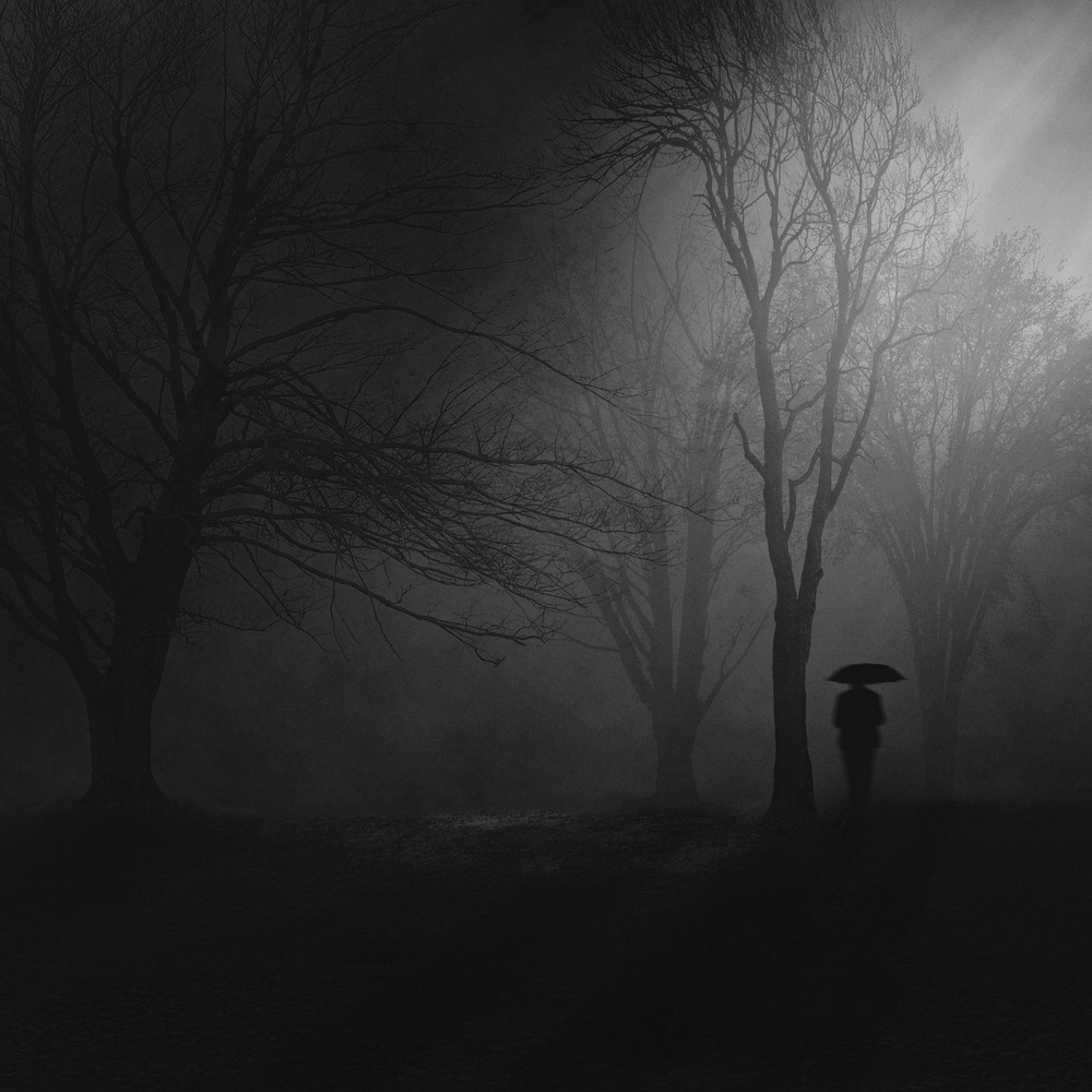 One Mans Dream von Thomas Tjung