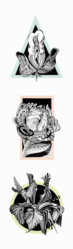 Trio Iris Orchid Protea (hoch) von Brigitte Thonhauser-Merk