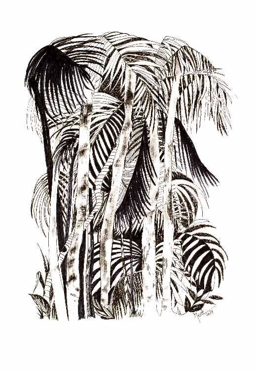 Jungle von Brigitte Thonhauser-Merk