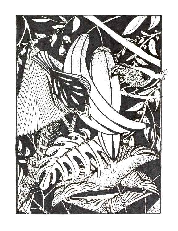 Tropical Birds von Brigitte Thonhauser-Merk