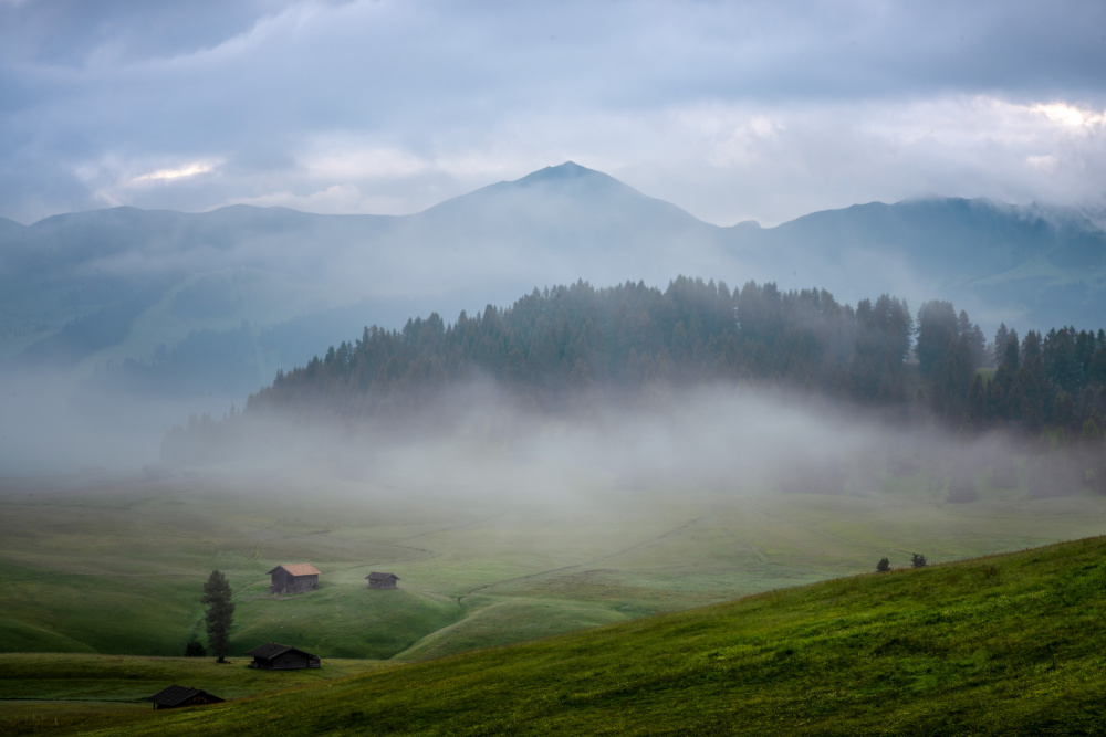 Morning Fog Alpe Di Siusi von Ti Wang