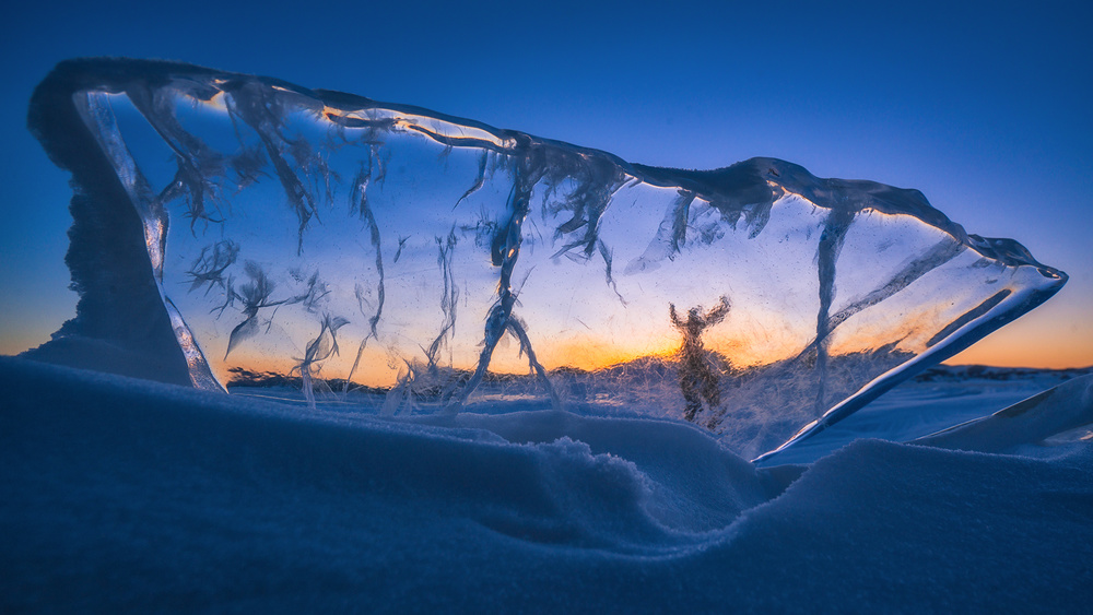 Popeye the sailor man von TIANQI