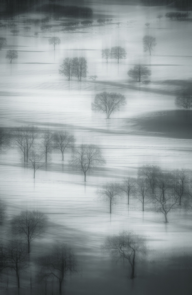 Auspicious snow von TIANQI