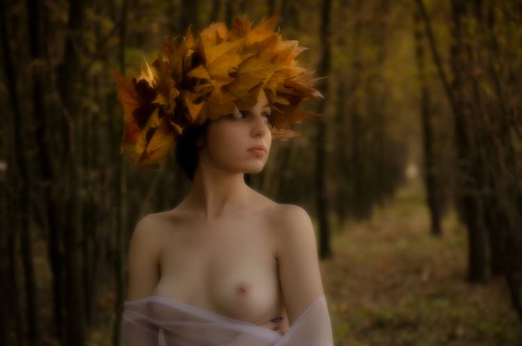 Forrest Nymph von Tibor Arva